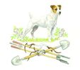 Windermere Jack Russell Terriers
